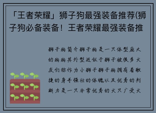 「王者荣耀」狮子狗最强装备推荐(狮子狗必备装备！王者荣耀最强装备推荐)